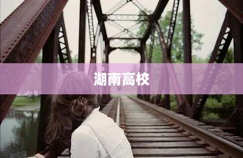 湖南高校