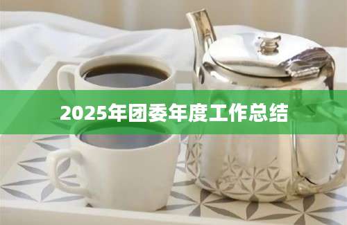 2025年团委年度工作总结
