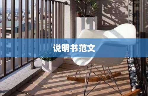 说明书范文