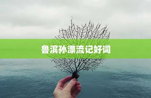 鲁滨孙漂流记好词
