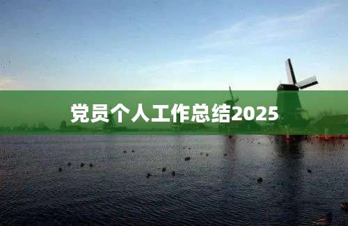 党员个人工作总结2025