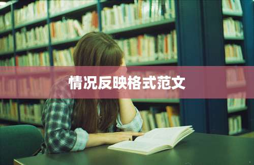 情况反映格式范文