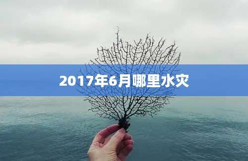 2017年6月哪里水灾