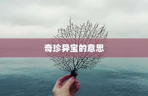 奇珍异宝的意思