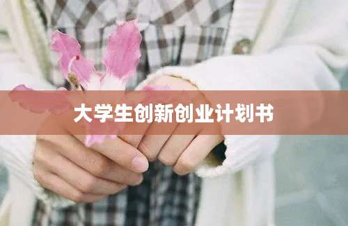 大学生创新创业计划书