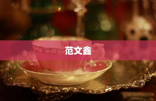 范文鑫