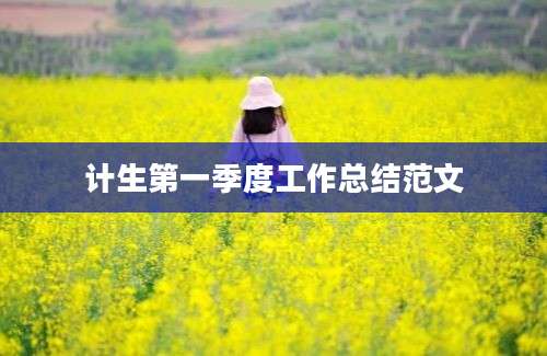 计生第一季度工作总结范文