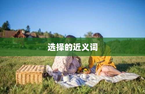 选择的近义词