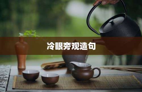 冷眼旁观造句
