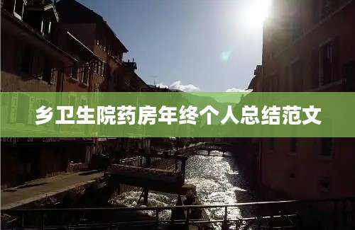 乡卫生院药房年终个人总结范文