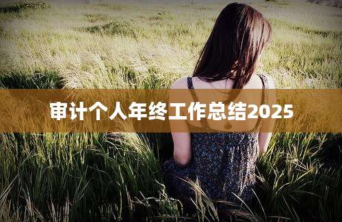 审计个人年终工作总结2025