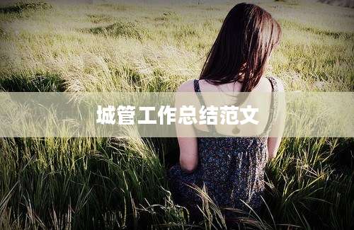 城管工作总结范文