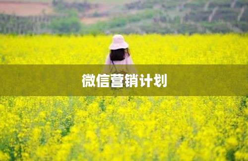 微信营销计划