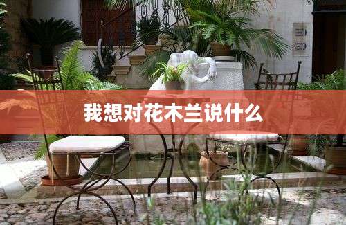 我想对花木兰说什么