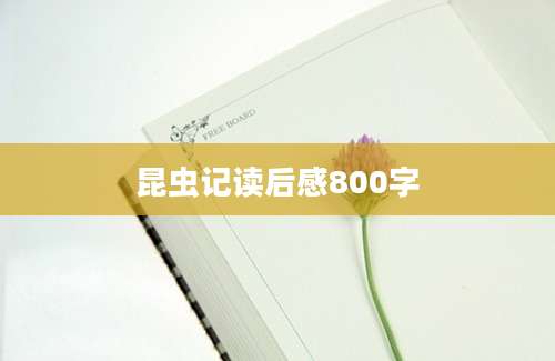 昆虫记读后感800字