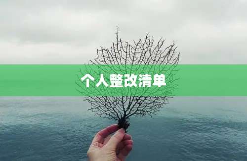 个人整改清单