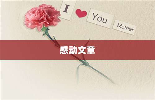 感动文章