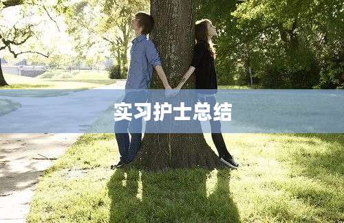 实习护士总结
