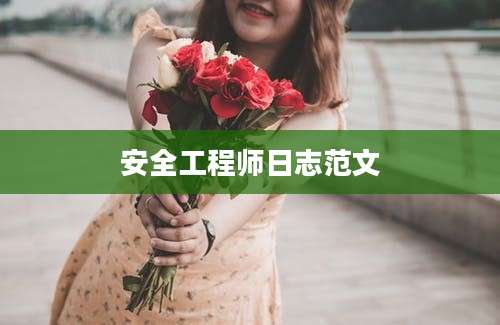 安全工程师日志范文