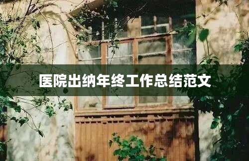 医院出纳年终工作总结范文