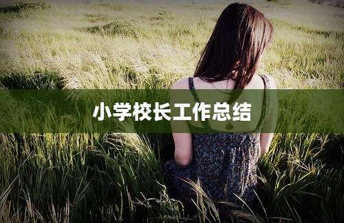 小学校长工作总结