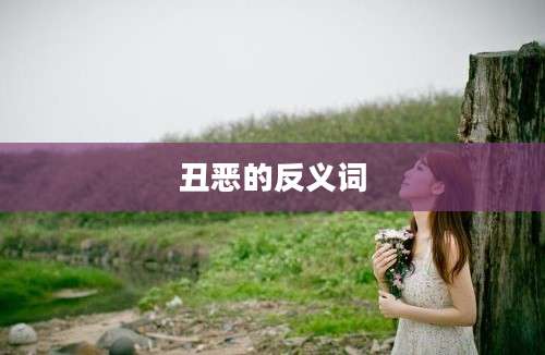 丑恶的反义词