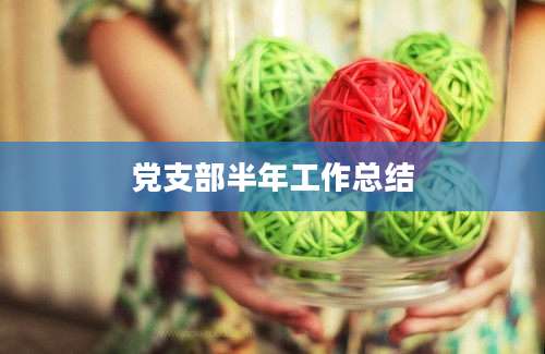 党支部半年工作总结