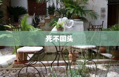 死不回头