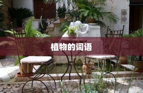 植物的词语