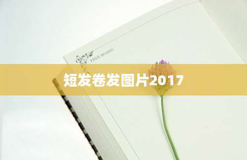 短发卷发图片2017