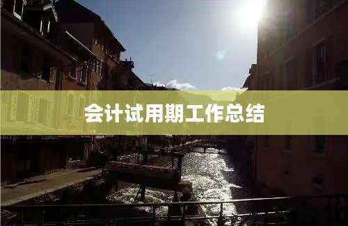 会计试用期工作总结