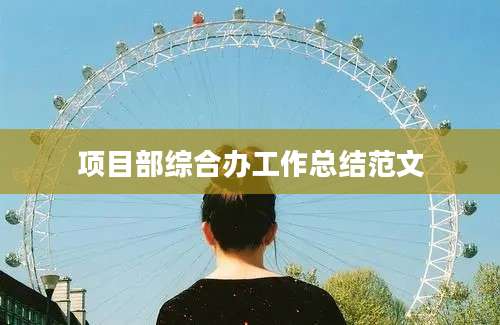 项目部综合办工作总结范文