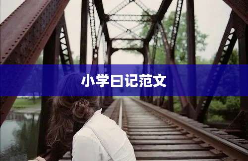 小学曰记范文