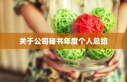 关于公司秘书年度个人总结