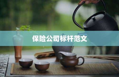 保险公司标杆范文
