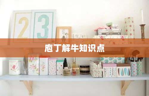 庖丁解牛知识点