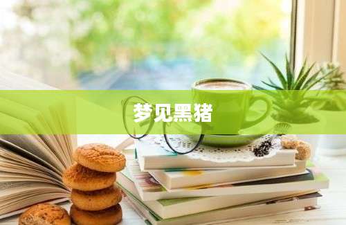 梦见黑猪
