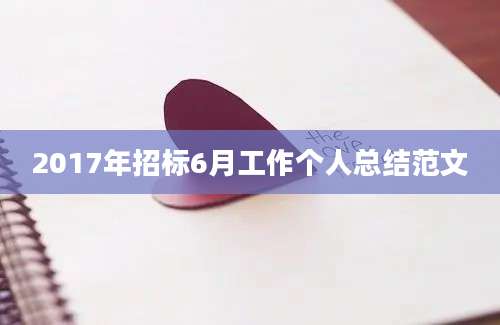 2017年招标6月工作个人总结范文