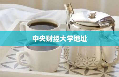 中央财经大学地址