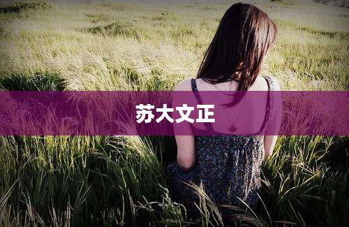苏大文正