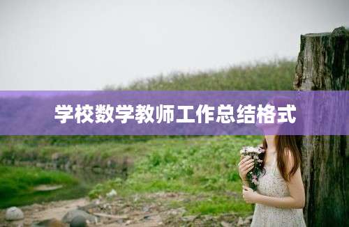 学校数学教师工作总结格式