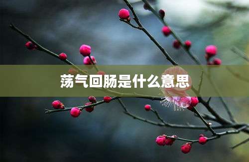 荡气回肠是什么意思
