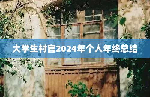 大学生村官2024年个人年终总结
