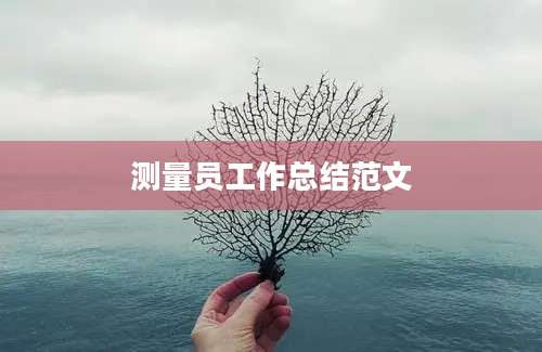 测量员工作总结范文