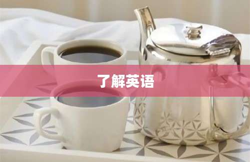 了解英语