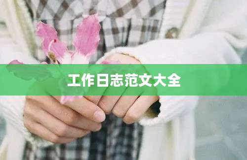 工作日志范文大全