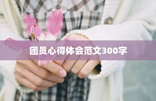 团员心得体会范文300字
