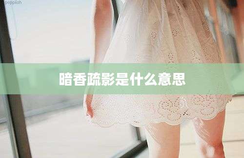 暗香疏影是什么意思