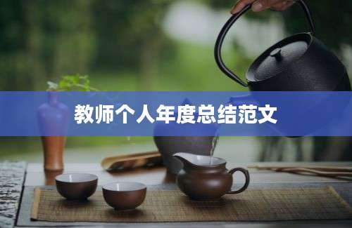 教师个人年度总结范文