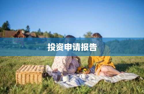 投资申请报告